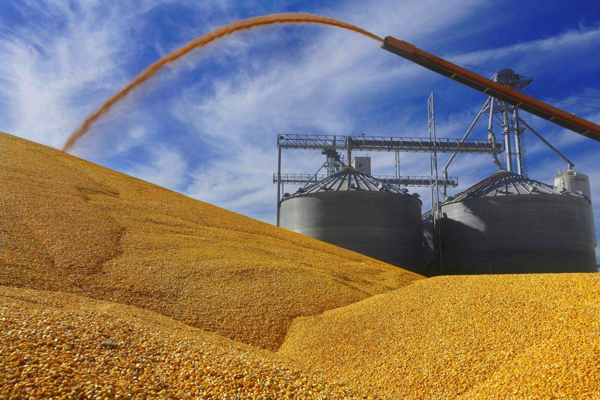 Top 10 U.S. agricultural commodities Rcj