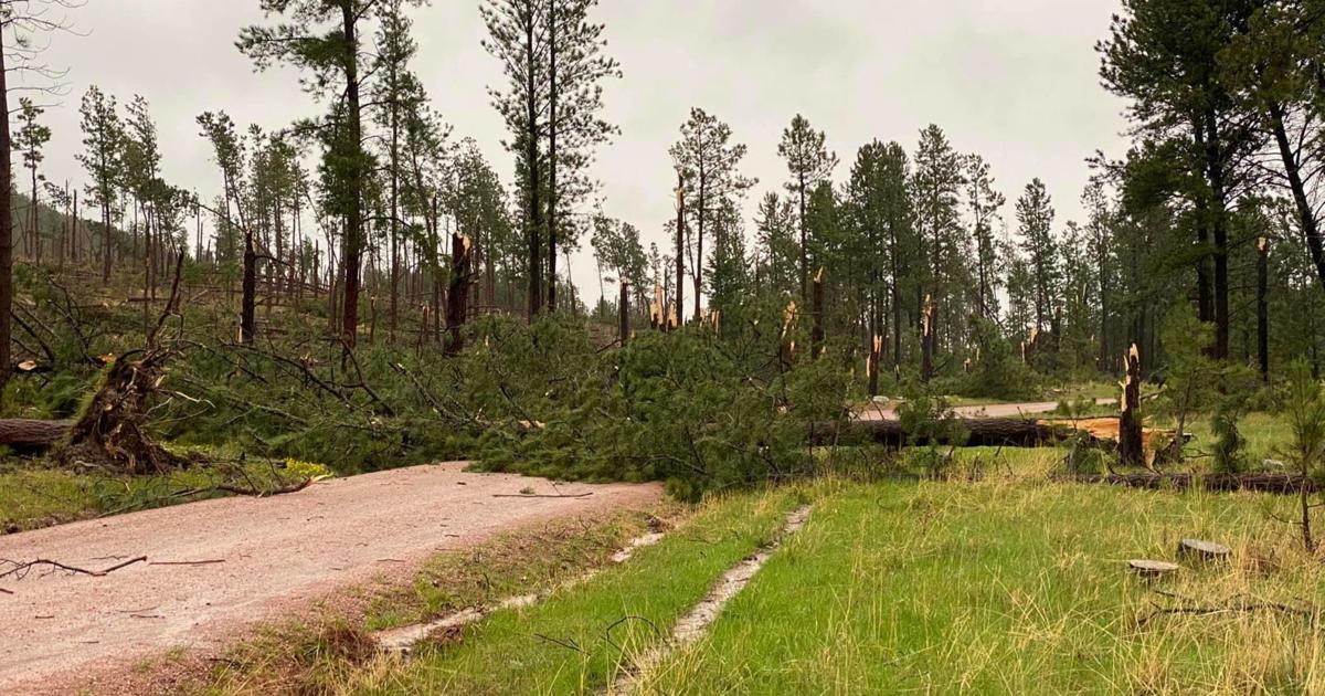 Sunday severe storms spawn tornadoes, wind damage