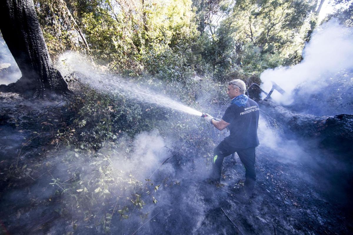Italy Wildfires
