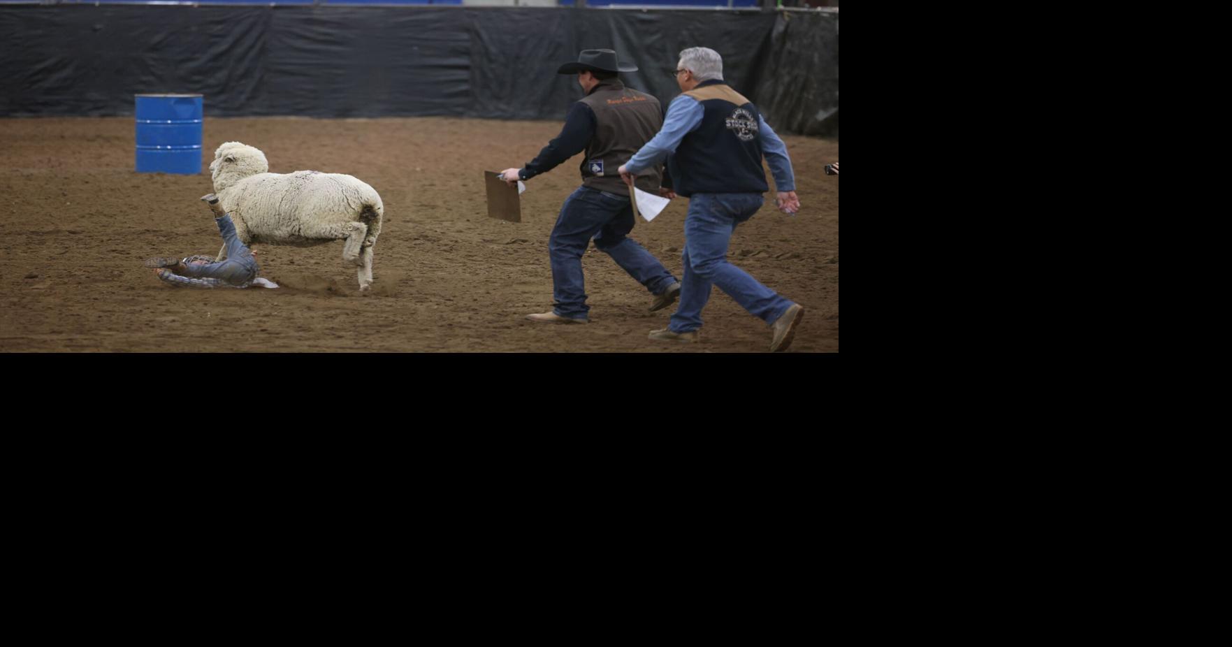PHOTOS: Mutton Bustin‘ Championships at the Black Hills Stock Show & Rodeo