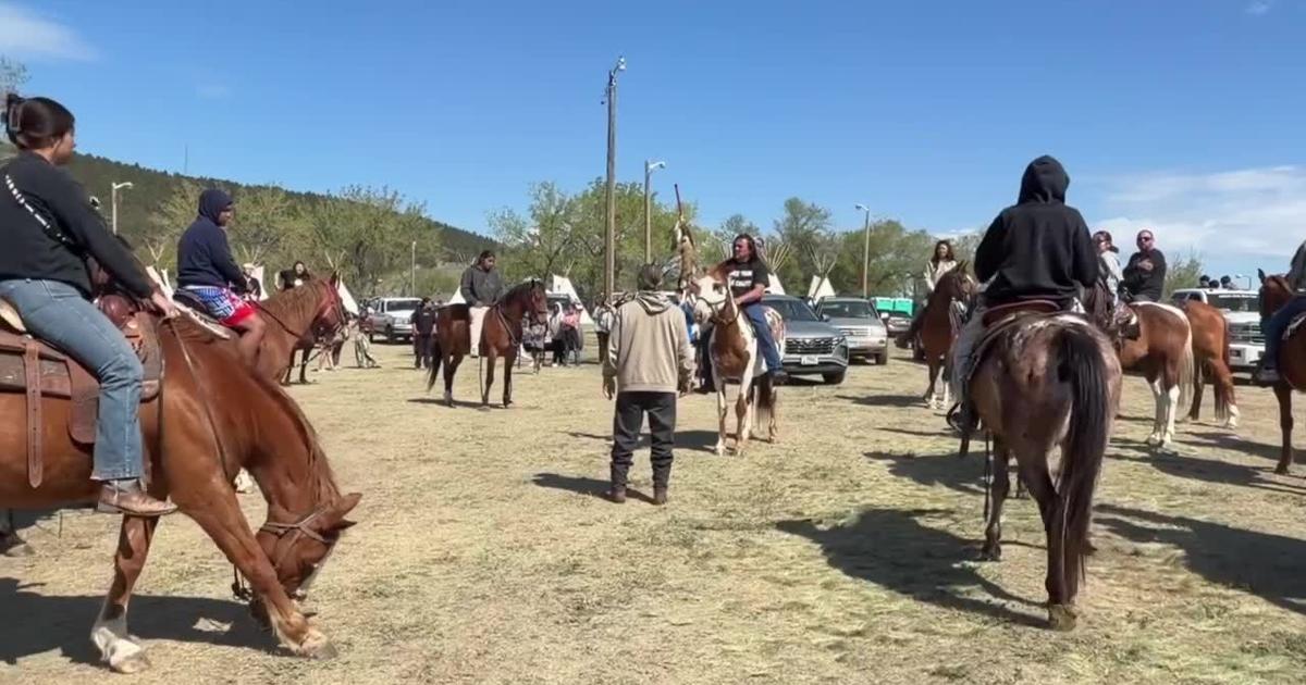 Healing with Horses