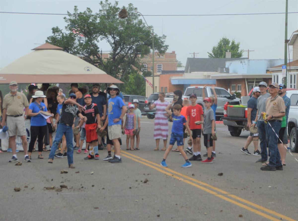 chip toss