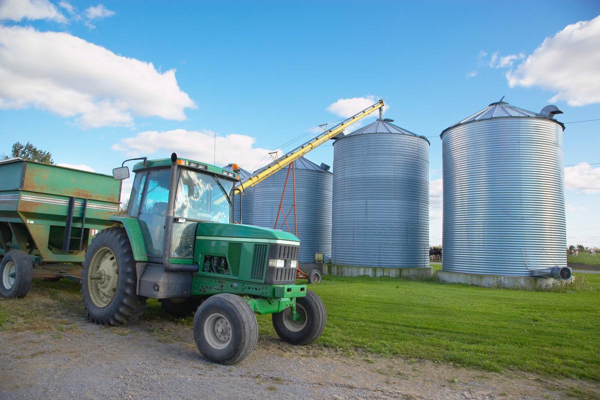 Agriculture