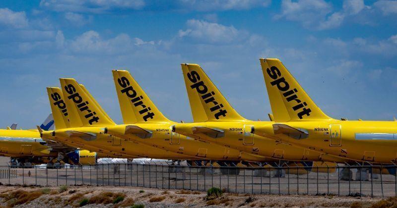 Democrats deserve some blame for Spirit Airlines' downfall  | Dace Potas