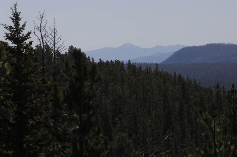 Eight Over Seven No. 5, Crooks Tower Local