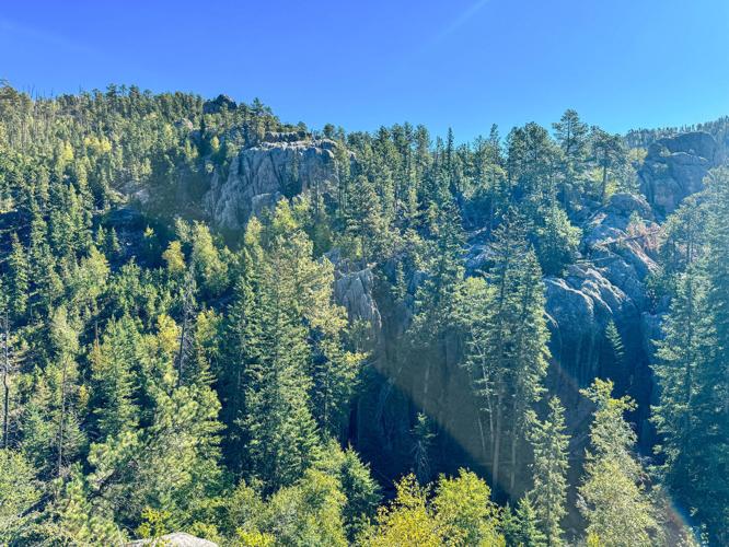 Fall in Black Hills.jpg