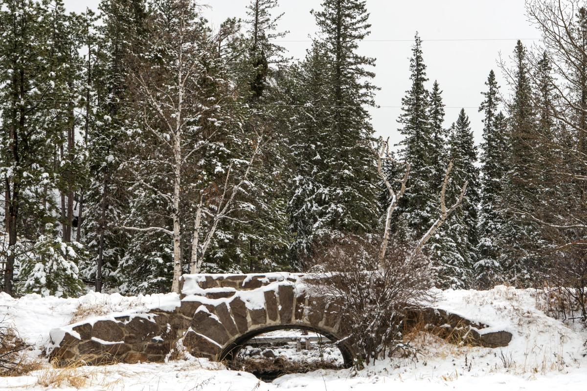 PHOTOS Snow scenes from Custer State Park Photos