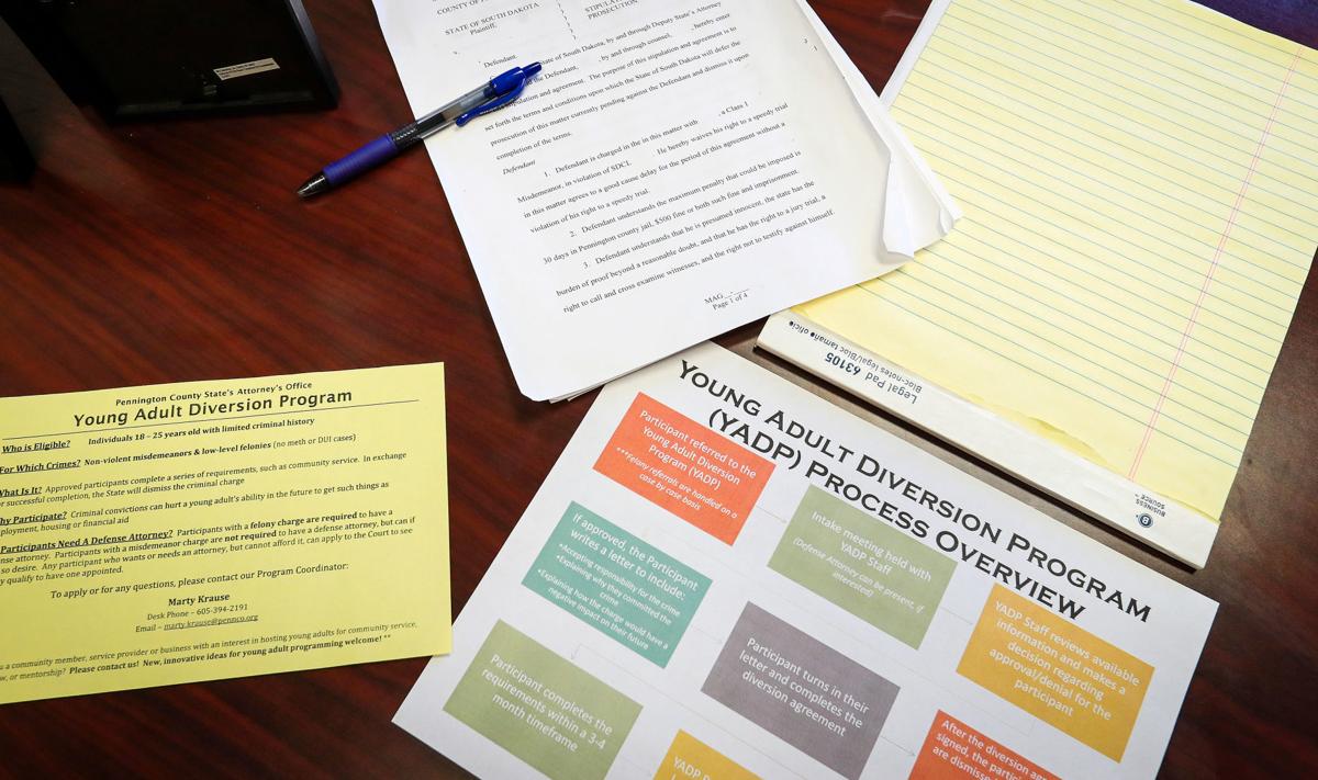 Diversion Programs In The Criminal Justice System