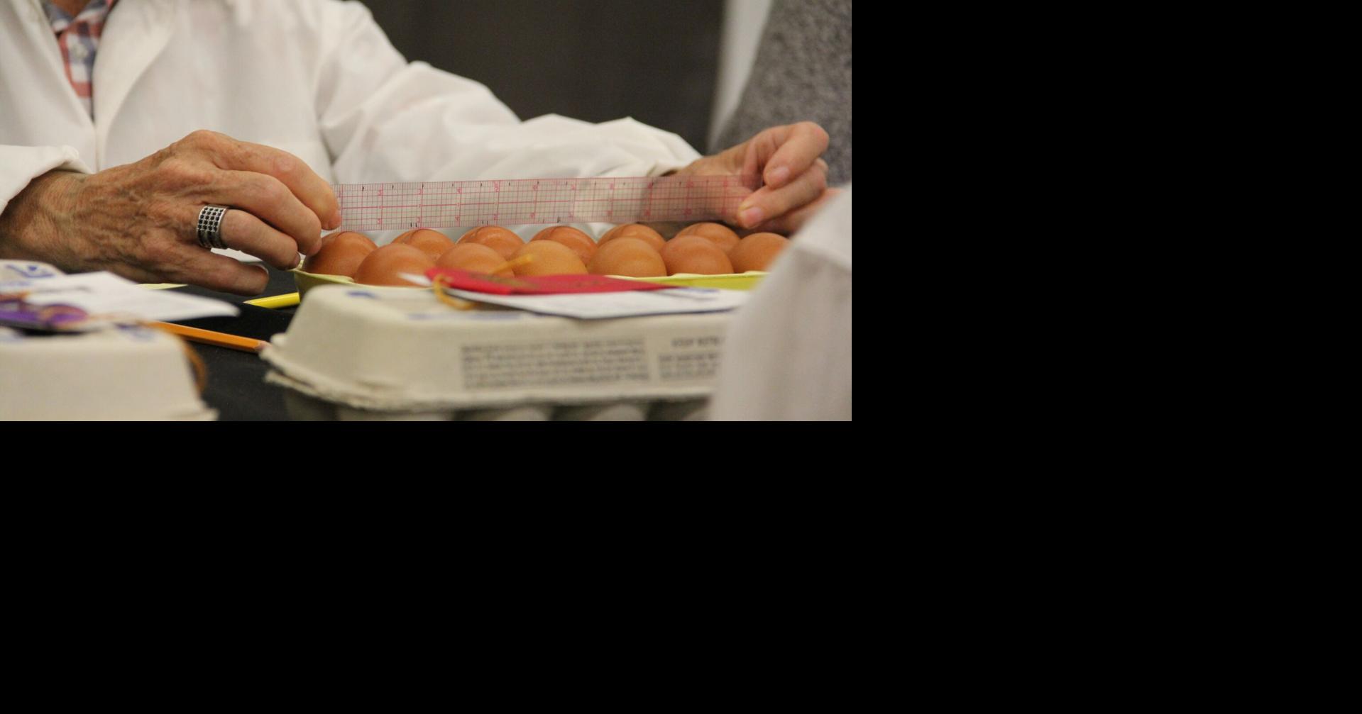 Egg height