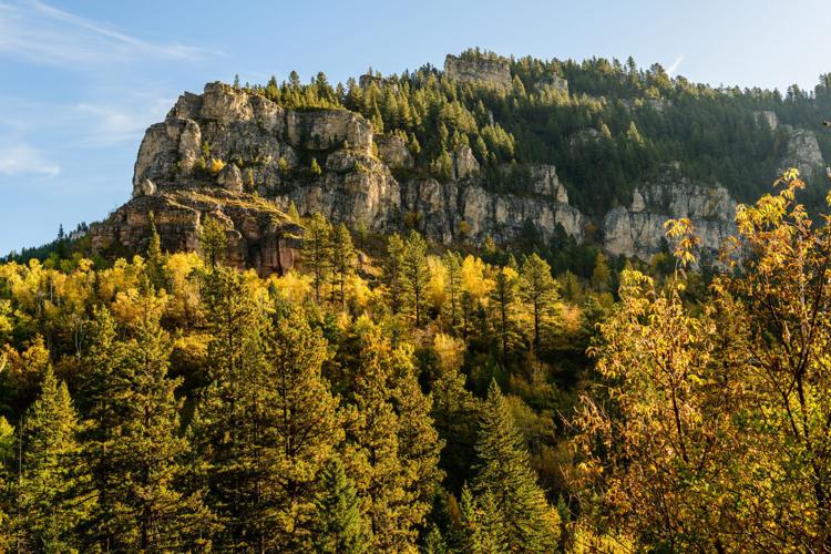 Spearfish Canyon 2.jpg