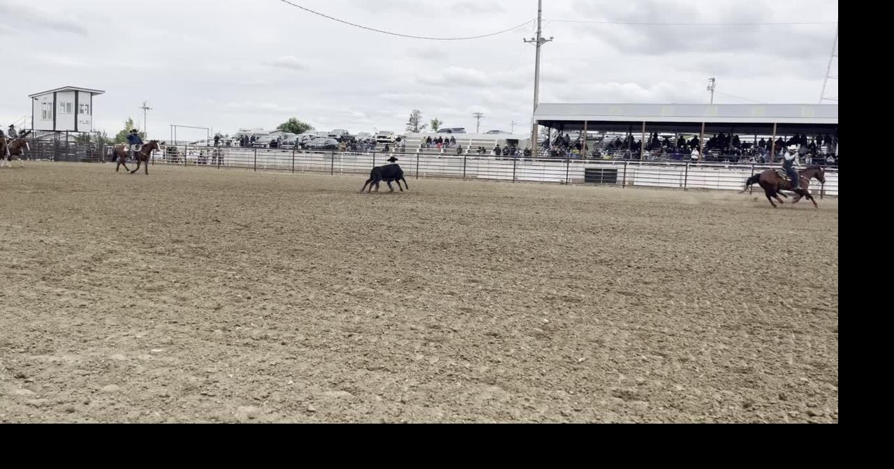 Steer wrestling at the New Underwood regional