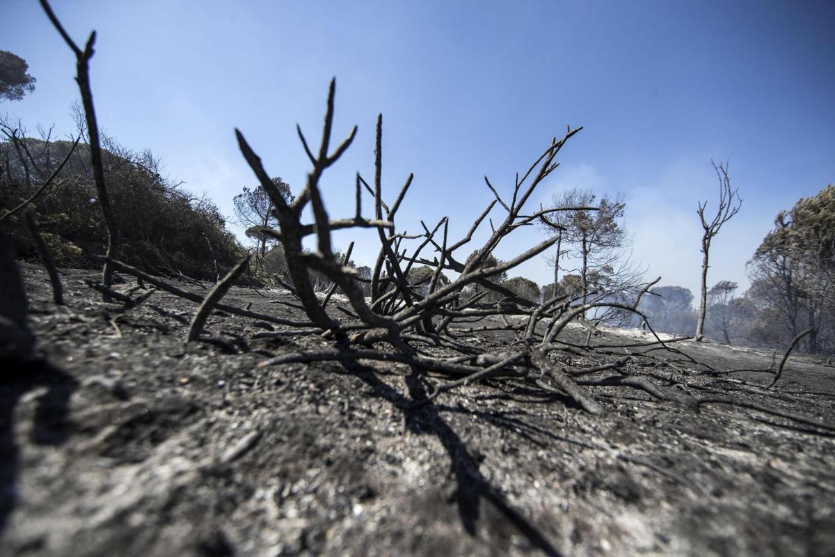 Italy Wildfires