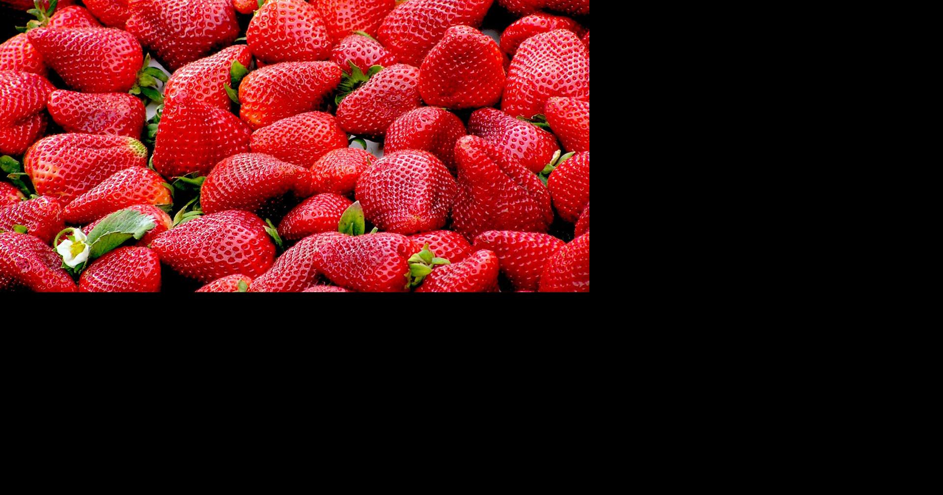 One of Darby's 'sweetest traditions': Strawberry Festival set for July 18 at Main Street Park