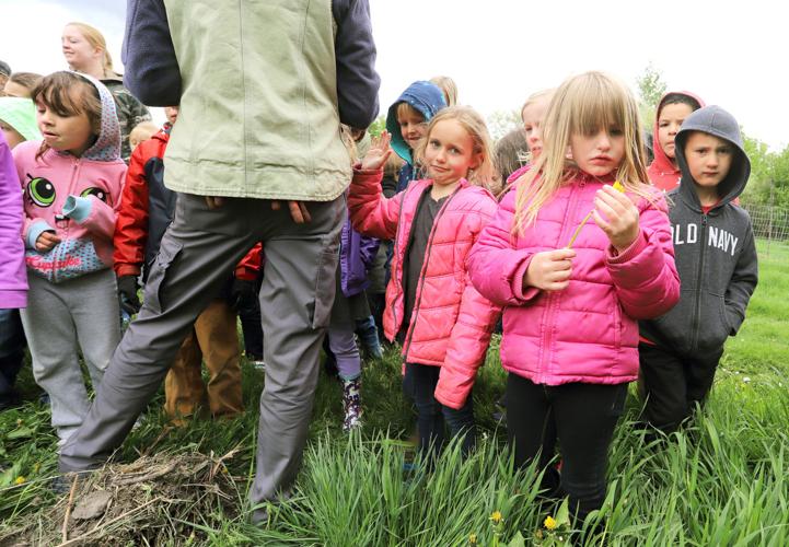KinderGardeners Homestead Organics opens up new world to Hamilton