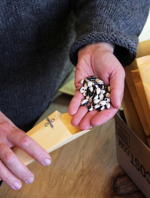 Raising local seeds