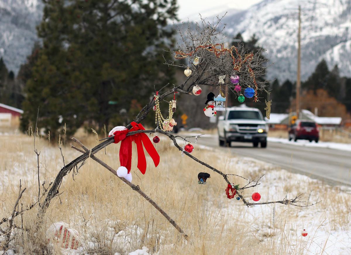 Hamilton's Charlie Brown tree
