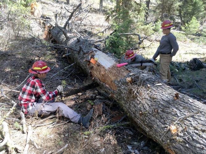 Clearing trails: Program helps Trapper Creek Job Corps students acquire