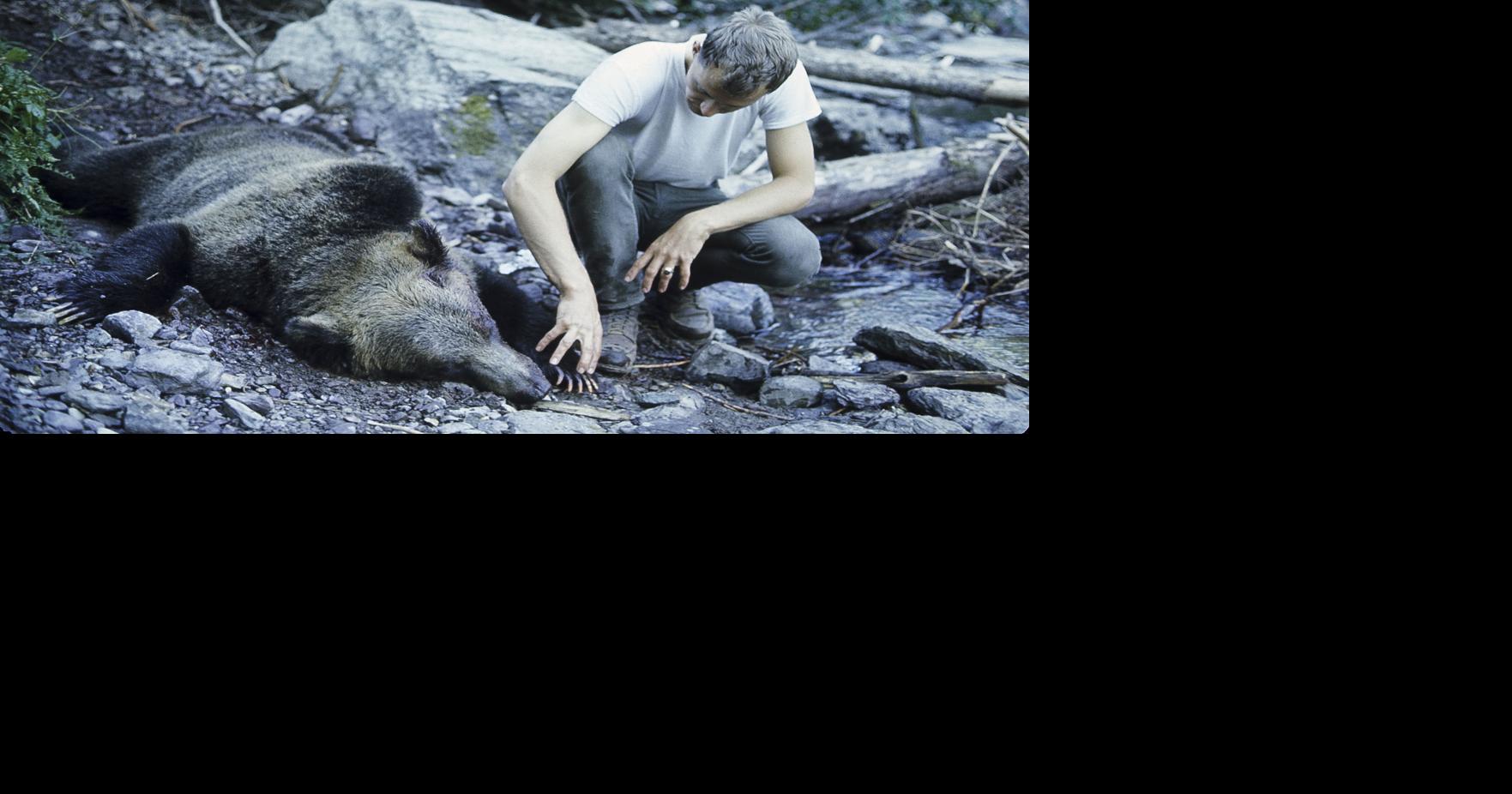 Night of the Grizzlies: How 2 deaths in Glacier led to changes in grizzly bear management