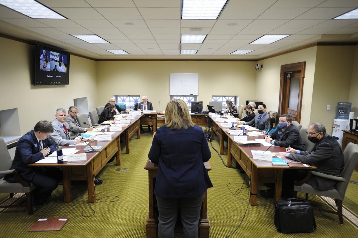 House Local Government Committee