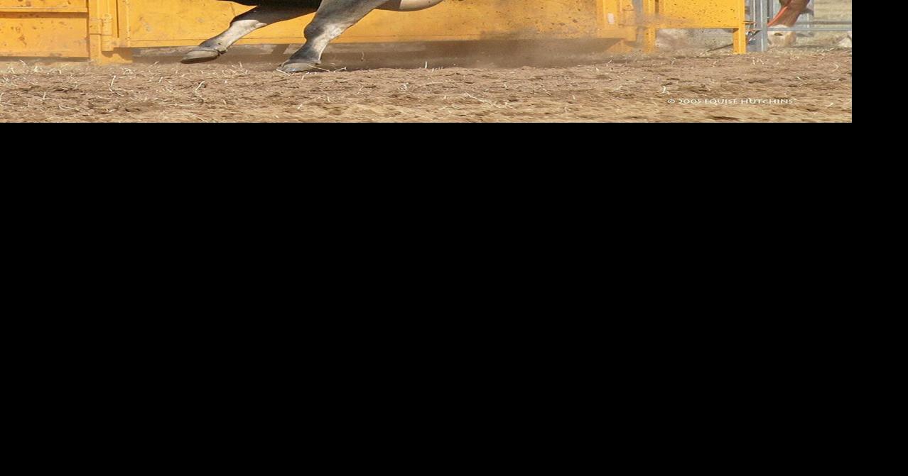 Rodeo action at Bulls N Broncs in Hamilton on Saturday, July 30