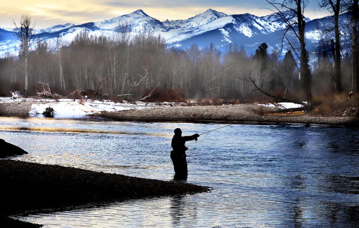 The Bug Book: A Fly Fisher's Guide to Trout Stream Insects: Weamer