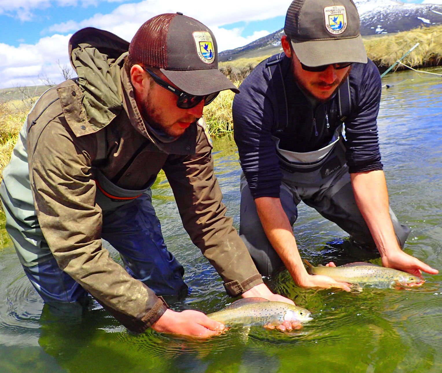 us fish and wildlife service hat