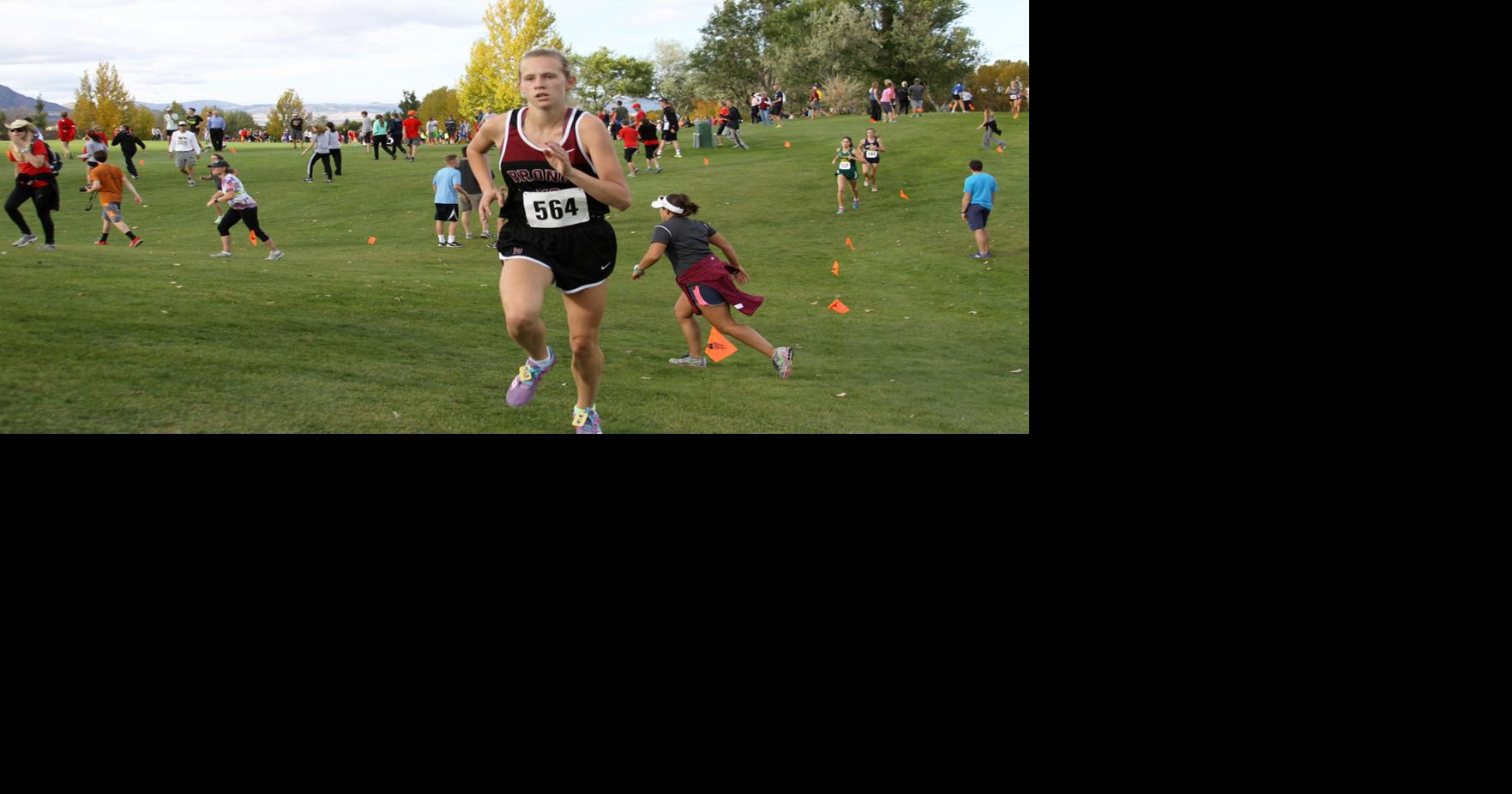 Hamilton cross country athletes running for state titles