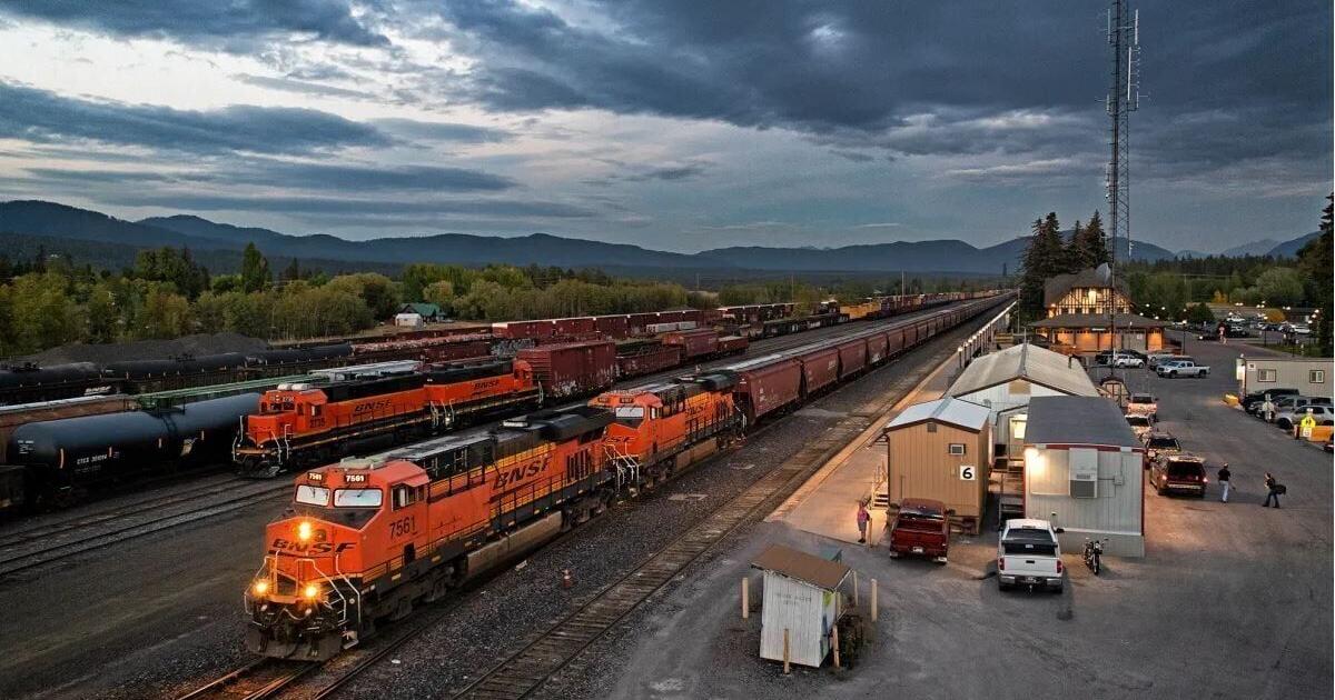 Lawsuit: BNSF railway trains kill grizzly bears in Montana - Vimarsana News