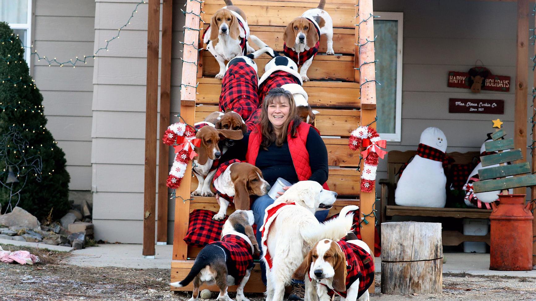 Parade of Pooches: Community comes together to bring Christmas to Living Centre residents - Vimarsana News