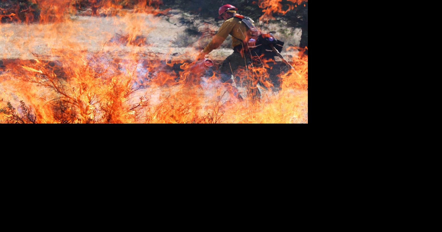 BNF plans more than 5,500 acres of prescribed burning