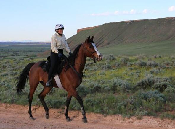 green to 100 – Journey of an unstarted horse to a 100 mile endurance race.