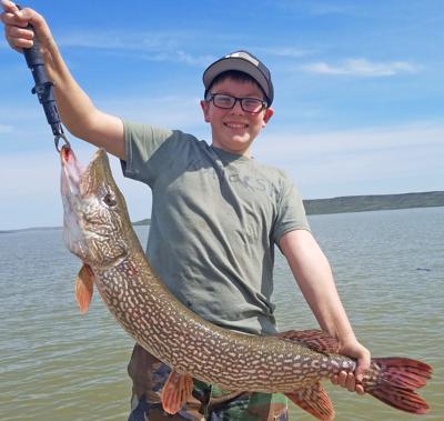 Montana Fishing Report Caddis Hatch Is On But Rivers Are - 