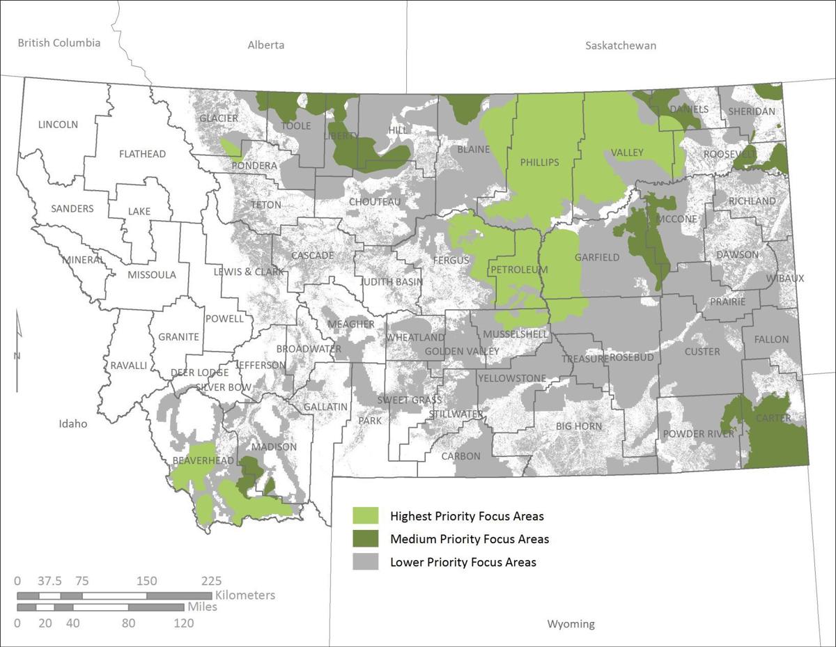 Helping 5 bird species of concern, landowners is goal of new