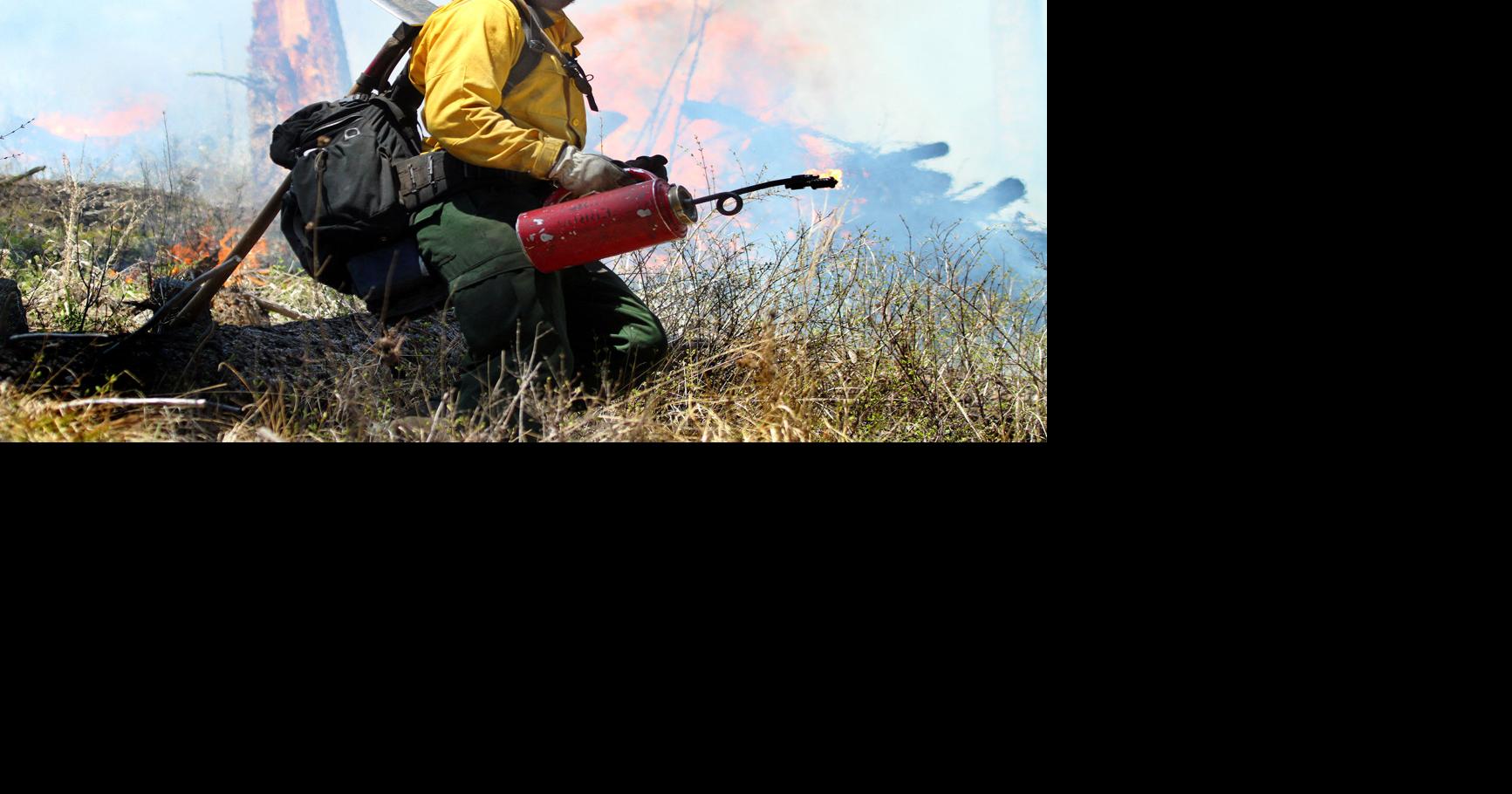 Spring burning set to begin on Bitterroot National Forest