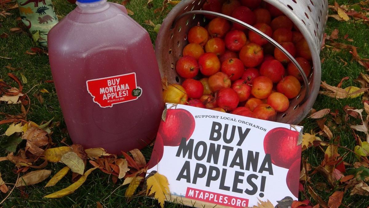 The snow may have fallen, but Montana apples are ripe for your table