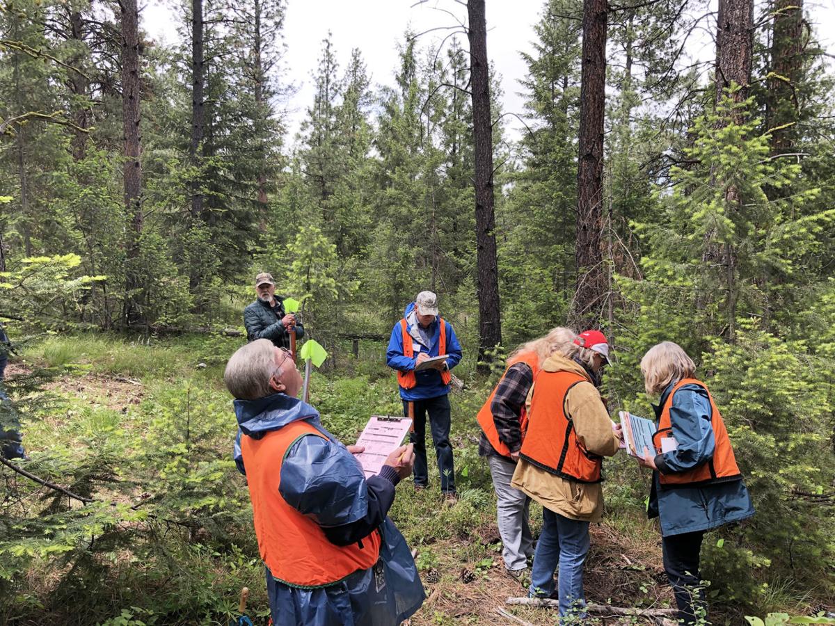 Landowners Surveying