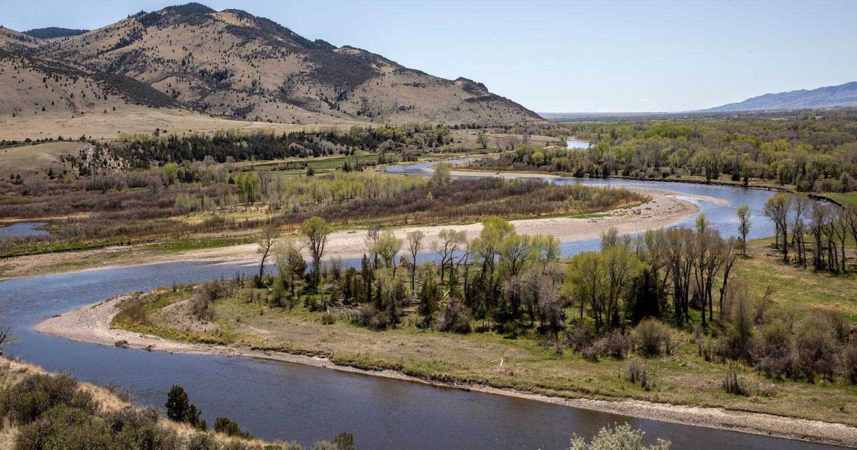 Otter injures 3 on Jefferson River - Vimarsana News