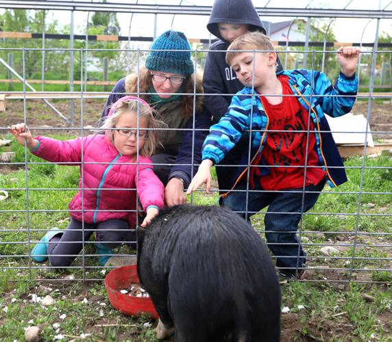 KinderGardeners Homestead Organics opens up new world to Hamilton