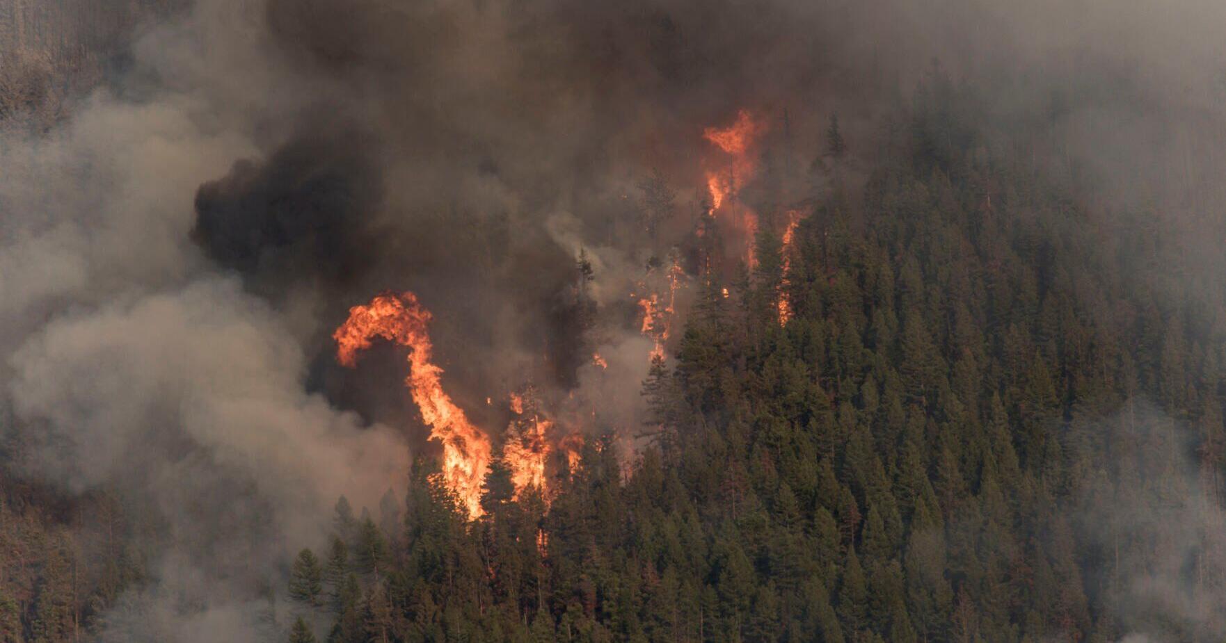 Wildfire season slows and rainy August wets Montana - Vimarsana News