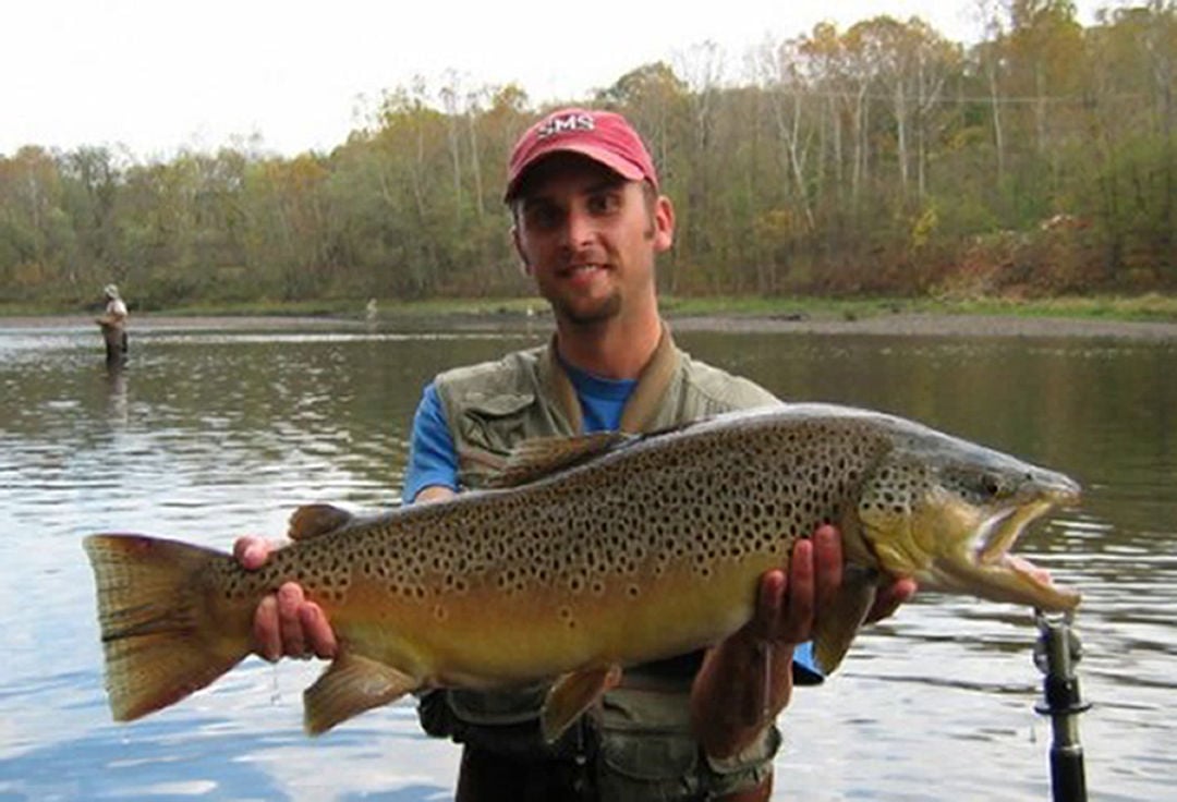 giant brown trout