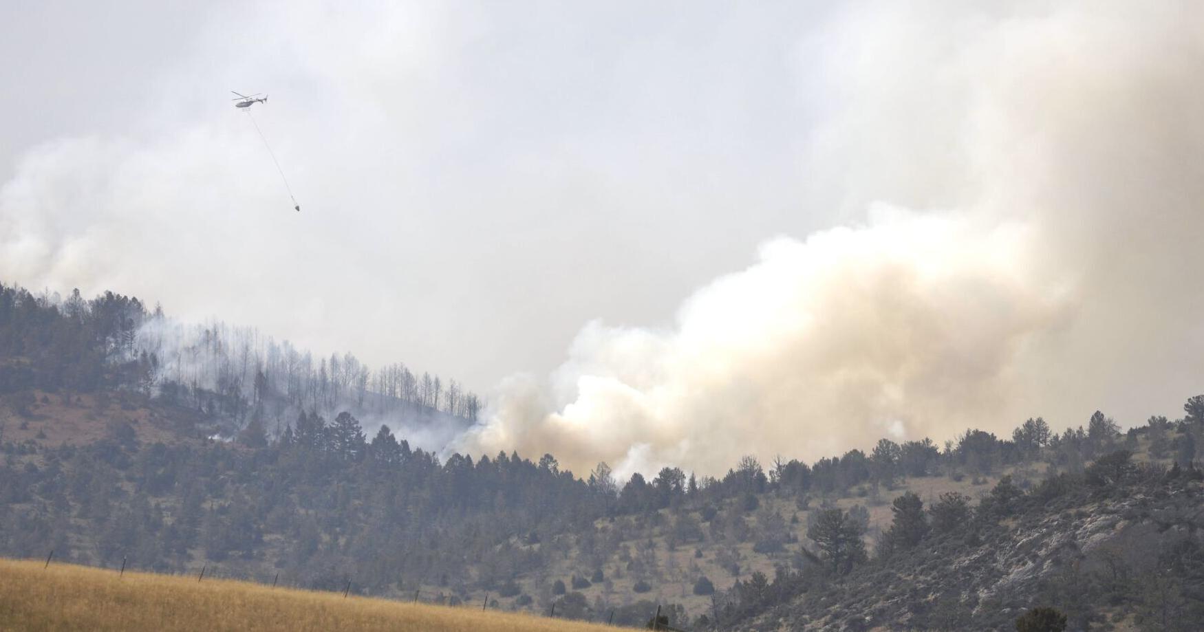 Wildfire breaks out near Cardwell - Vimarsana News