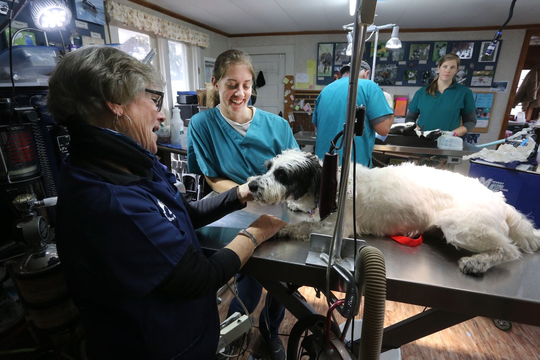 Project of the heart: Bitterroot Valley nonprofit works to eliminate euthanization of healthy animals