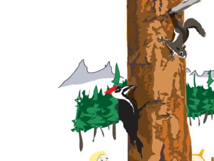 Summer Camps Abound Around Western Montana Outdoors Ravallirepublic Com