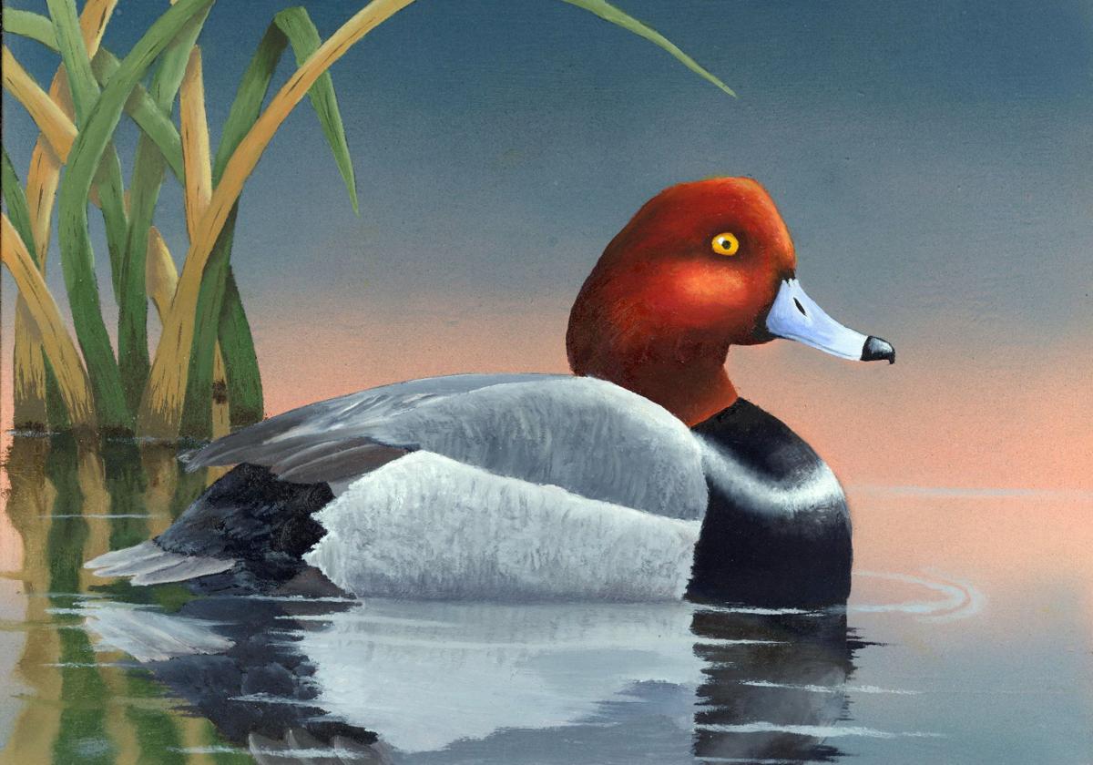 Postcard Comic fantasy mude ente tinte write sad river nature natural duck  art