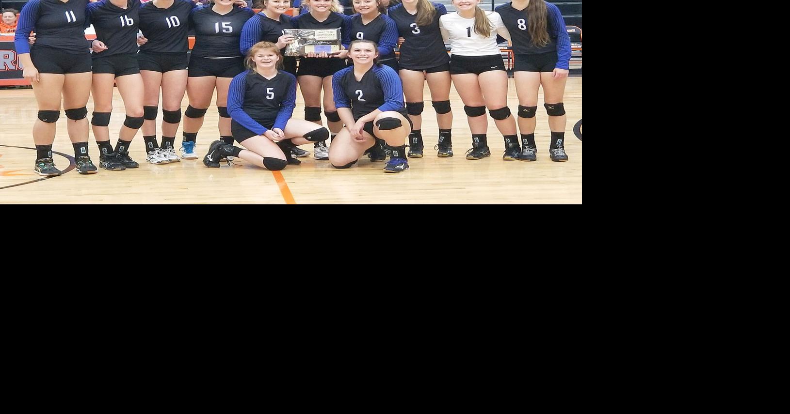 Volleyball Divisional Tournaments