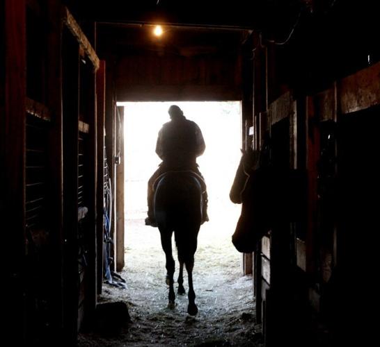 Off to the races Victor horse trainer prepares thoroughbreds for