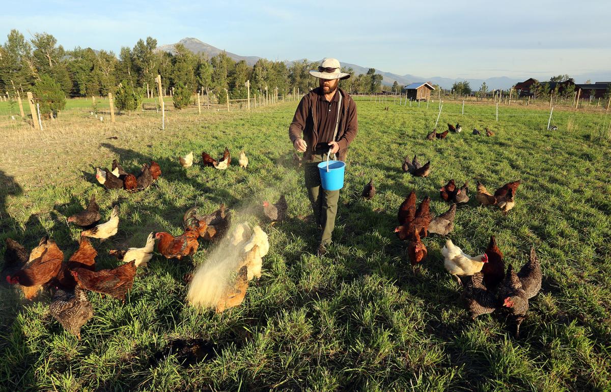 natural farming hamilton s
