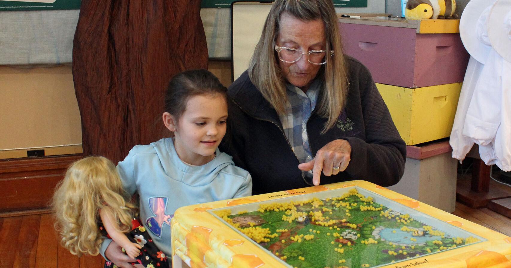 Hamilton museum exhibit 'Pollination Investigation' opens - Vimarsana News