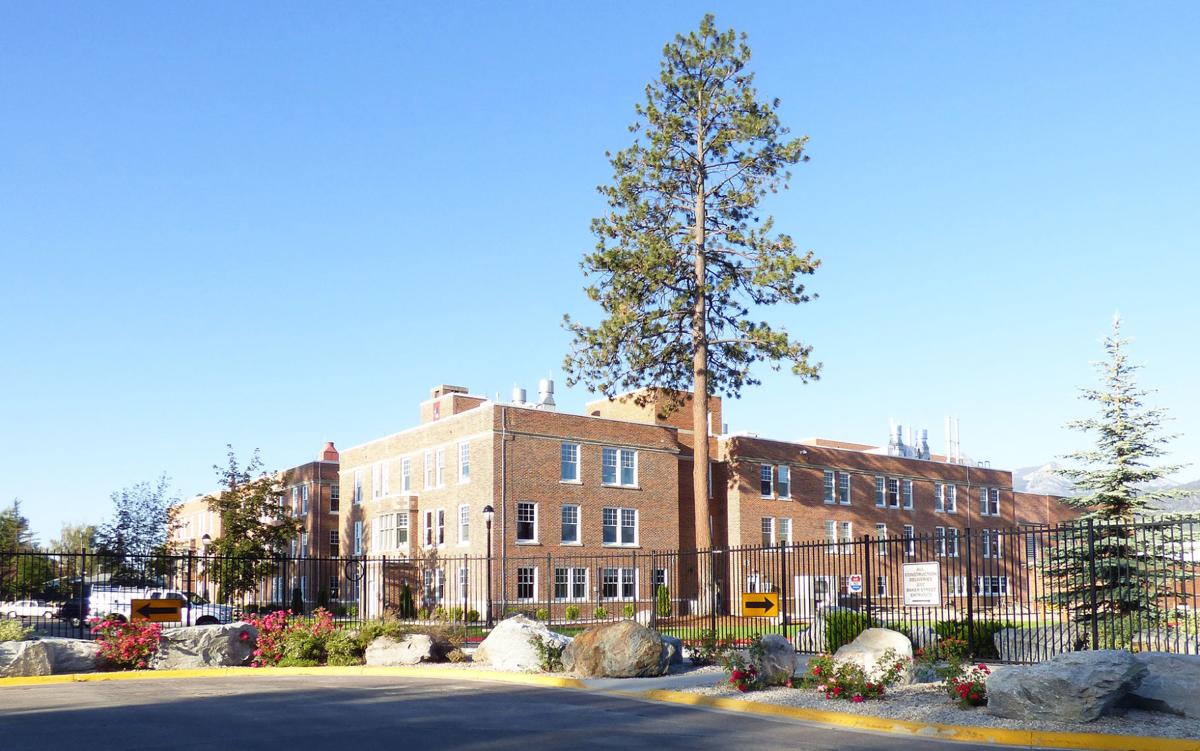 Rocky Mountain Lab tree grew with the facility Local News