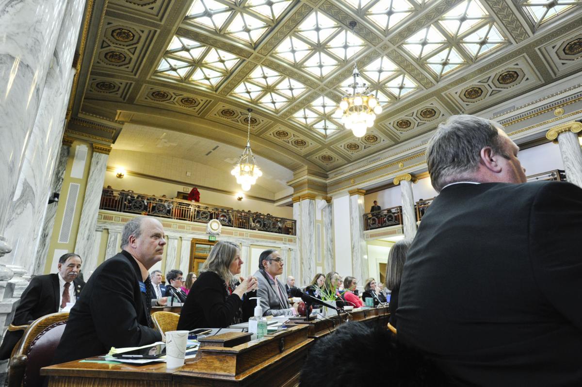 Representatives listen to floor speeches during the 2019 Montana Legislature.